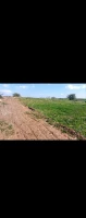 Vente Terrain Mila Sidi merouane