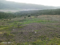 terrain-vente-boumerdes-keddara-algerie