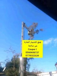 تنظيف-و-بستنة-قطع-الاشجار-الجزائر-وسط