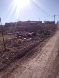 terrain-vente-bordj-bou-arreridj-medjana-algerie