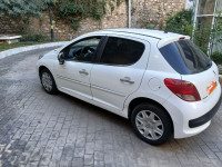 voitures-peugeot-207-plus-2013-alger-centre-algerie