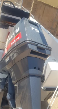 Bateau 5m50 75ch yamaha 2023 avec place au port d'oran