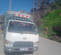 camion-hyundai-hd-65-2008-ain-el-hammam-tizi-ouzou-algerie