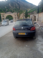 voitures-peugeot-307-2002-xt-djemila-setif-algerie