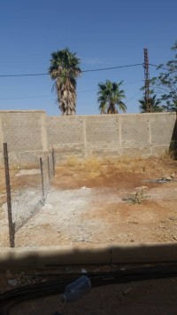 أرض-فلاحية-بيع-تلمسان-الجزائر