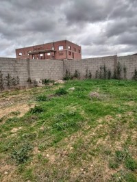 أرض-فلاحية-بيع-تلمسان-الجزائر