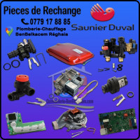 materiaux-de-construction-piece-rechange-chaudieres-saunier-reghaia-alger-algerie