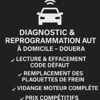 Diagnostic Auto à Domicile Douera - Reprog ECU, EGR OFF, Vidange, Frein 
