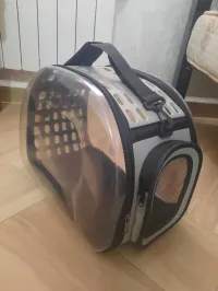 حقيبة قطط