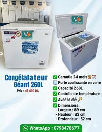 refrigerateurs-congelateurs-congelateur-geant-modele-alaska-260l-ain-kebira-tlemcen-algerie