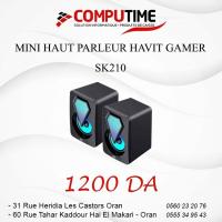 baffle-mini-haut-parleur-havit-gamer-sk210-oran-algerie