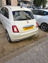 سيارات-fiat-500-2024-club-القبة-الجزائر