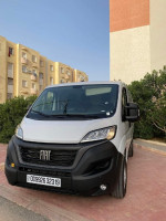 automobiles-fiat-ducato-2023-l1h1-setif-algerie