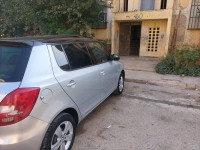 voitures-skoda-fabia-2014-fresh-blida-algerie