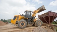 LiuGonG CLG855H Chargeur PRIX PROMOTIONNEL AU 31 JUIN 2025