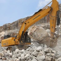 LiuGong CLG950E PELLE 2025
