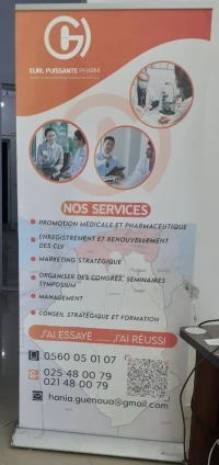 PROMO ROLLUP