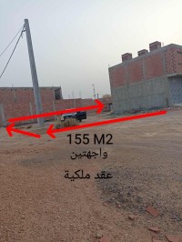 أرض-بيع-بسكرة-الجزائر