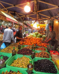 local-location-oran-algerie