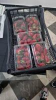 alimentaires-barquette-de-fraises-medjana-bordj-bou-arreridj-algerie