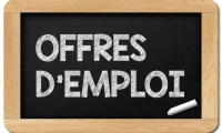 commercial-marketing-offre-demploi-pour-les-etudiants-el-harrach-alger-algerie