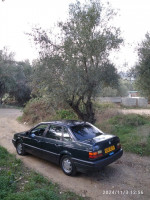 voitures-volkswagen-passat-1993-tizi-ouzou-algerie