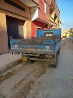 camion-toyota-1984-sig-mascara-algerie