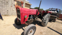 tractors-imt-غزلافيا-ain-zerga-tebessa-algeria
