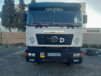 camion-shacman-2008-msila-algerie