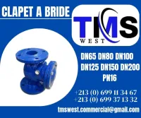 Clapet a bride pn 16 DN65 DN80 DN100 DN125 DN150 DN200