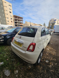 voitures-fiat-500-2024-blida-algerie