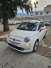 voitures-fiat-500-2024-blida-algerie