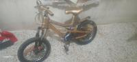 Vélo 20 pouces