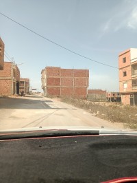 أرض-بيع-مستغانم-حاسي-مماش-الجزائر