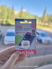 Carte mémoire SanDisk Ultra 256Go
