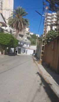 local-location-annaba-algerie