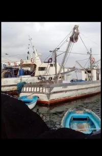 bateau sardinier 14m zawrak 2018