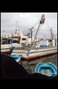 bateau sardinier