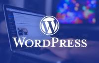 تعليم-و-تكوين-formateurtrice-wordpress-pour-formation-en-ligne-برج-البحري-الجزائر