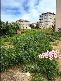 أرض-بيع-الجزائر-دالي-ابراهيم