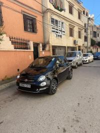 سيارات-fiat-500-2024-dolcevita-plus-القبة-الجزائر