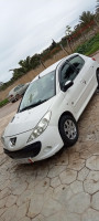 voitures-peugeot-206-plus-2013-ain-naadja-alger-algerie