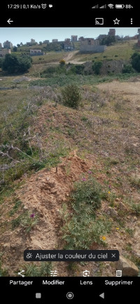 terrain-vente-boumerdes-zemmouri-algerie