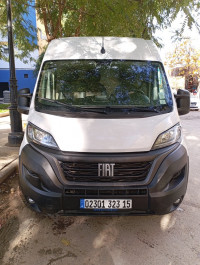 fourgon-fiat-ducato-2023-tadmait-tizi-ouzou-algerie