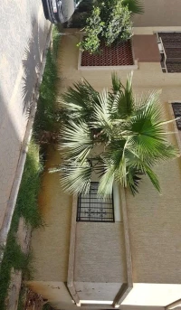 Vente Appartement F5 Alger Bordj el bahri