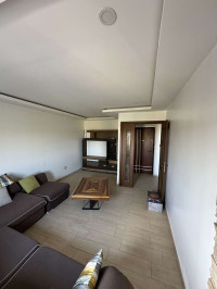 appartement-vente-f3-alger-les-eucalyptus-algerie