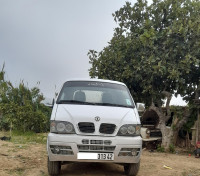 camion-dfsk-2013-gouraya-tipaza-algerie