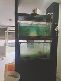 Aquariums 