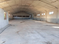 hangar-location-boumerdes-bouzegza-keddara-algerie