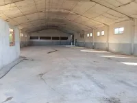 Location Hangar Boumerdès Bouzegza keddara